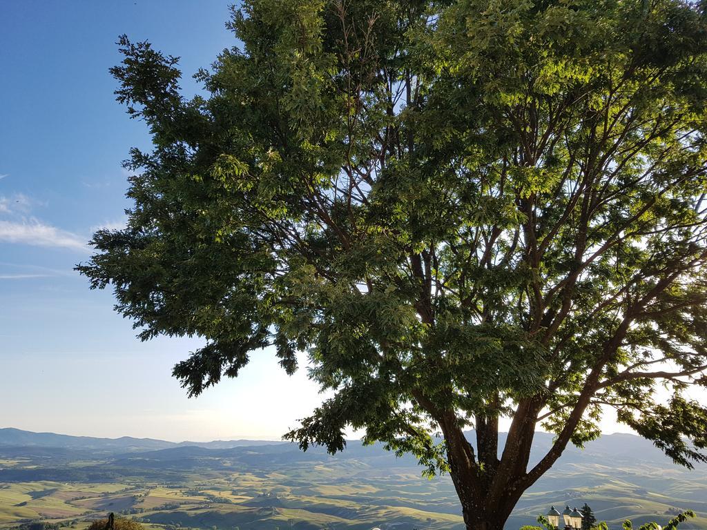 Villa Nencini Volterra Kültér fotó